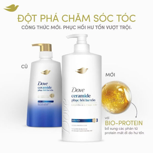 Combo Dầu Gội Xả Dove Intense Repair